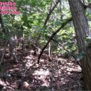 무주읍124 이미지