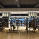 주식회사 리미트짐 이미지