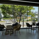 동물병원루니 이미지