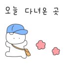 쿠치나영대점 이미지