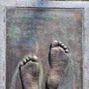 임우철 | 역사 탐방 후기, 독립문과 서대문형무소역사관