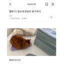 내 취향 여시 재캡쳐 32 이미지
