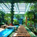 정원사우나 이미지