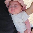 망상농장 이미지