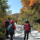 봉오1리 이미지