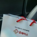 뽀송하댕 이미지