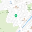 대전고양이분양 비비냥 이미지