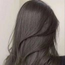 헤어블러썸 이미지