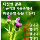 🌈💞완연한가을~~~~ 8월도 마지막날 잘들계시지요~~~~~🤗🙆안부인사드립니다 ㅋ 이미지