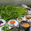 양산늘푸른약국 | 양산 원동미나리축제 현지인 맛집 늘푸른청정미나리농원