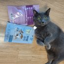 킴스덴탈 이미지