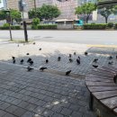 초이스PC방 이미지