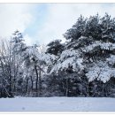 횡재한 춘설의 오갑산 산행(2012.3.24) 이미지