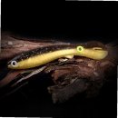 J소프트 이미지