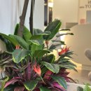 죠이헬스 이미지