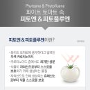 화이트엔토마토