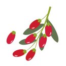 장생한의원 이미지