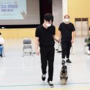 영진펫 이미지