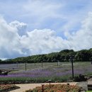 오리가 좋다 PC게임랜드 | 에코랜드 워터슬라이드 후기 - 에코파크에서 아이가 좋아하는 무료 체험들