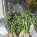 서부교회도서관 | 옞스러운 일상일기 2025.11.29.(토).~12.5.(금)