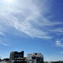 애월숲에101 | 제주 마사지 추천 | 애월 더숲 아로마 앤 테라피 리저브 후기