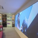 더나인의원 | 유스타일나인의원에서 남자수염제모 직접 받아본 후기