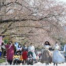 서울한복 이미지