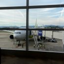 이둔펜션카페칼디 | 2026 후쿠오카여행 Fukuoka
