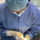 으뜸원동물병원 이미지