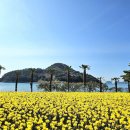 일렁이는 이미지