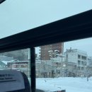 [🇯🇵JENESYS 2023] 쿨재팬 리포터 방문 8일차 와랏세 박물관 / 아오모리공항 면세점 / 센소지 / 롯폰기...