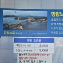 수목원레저 | 오시아노캠핑장 수상레저,땅끝모노레일+해양자연사박물관,포레스트수목원+봉동구수골계곡,두륜산미로...