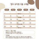 댕즈 네이버블로그