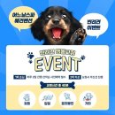 어느날스파펜션 이미지