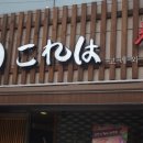 고레와참치