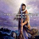 2026-08-03연중 제18주간 월요일＜저더러 물 위를 걸어오라고 명령하십시오.＞ 이미지