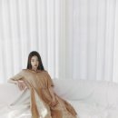 SJSJ 이미지