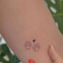 Design Dog 이미지