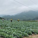 평창군청 이미지