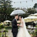 [웨딩준비]하리메리 광주 아이폰 스냅 내돈내산 후기 가격 야외결혼식