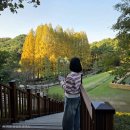 이리중앙체육공원매점 | 청주 청남대 가을축제 일정 입장료 단풍 개화 현황 평일 방문 후기