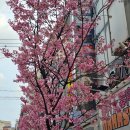 송정공원 지하철역 2번출구 | 후쿠오카 공항에서 하카타역 가는법 셔틀버스 위치 및 지하철 이동 텐진 직행버스 정보까지