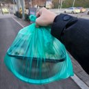 명가해물 | 강릉 해물찜 맛집 ‘명가찜’ 포장 후기 — 깔끔하고 푸짐한 해물 한상!