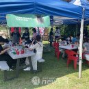 우드팜 뉴스에이