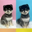 댕댕토피아 이미지