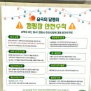 숲속의달팽이