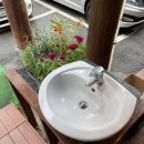 [애견 동반 평창 1박2일 여행] - 고향 막국수(애견 동반 가능 식당) 내돈내산 후기