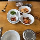 양노리순대국 - 보은군 안내보은로 1213 | 양노리순대국