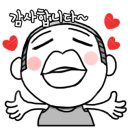 아우토스턴솔라가드THELX하버캠프카포먼스 네이버블로그