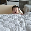 서하목장 | 5월 육아일기 | 박수만 쳐도 환영받는 귀여운 인간, 8개월 9개월 아기 육아